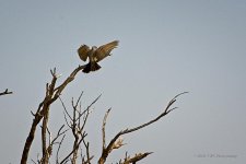 05-29-20-cr_D7K2877-ON1.jpg