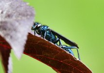 _ROY2609_00001.jpg