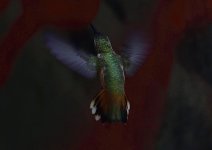 _ROY2762_00001.jpg