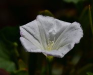_ROY2771_00001.jpg