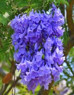 _ROY2846_00001.jpg