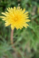 2020-05-31 14.45.21-dfine-rawsharp-outputsharp-s.jpg