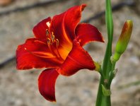 _ROY2974_00001.jpg