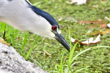 _ROY3279_00001.jpg