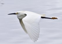 _ROY3349_00001.jpg