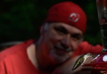 Green on Perch Selfie (1 of 1).jpg
