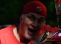 Green on Perch Mugging (1 of 1).jpg Green on Perch Mugging (1 of 1).jpg