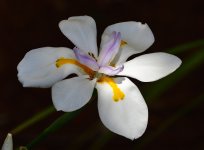_ROY3819_00001.jpg