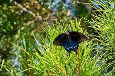 06-09-20-cr_D7K3001-ON1.jpg