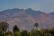 06-15-20-cr_D7K3029-ON1.jpg
