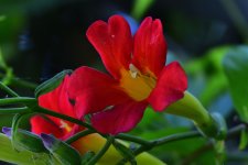 _ROY4402_00001.jpg
