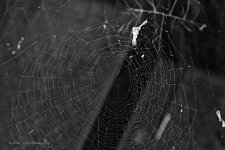 06-17-20-cr_D7K3049-ON1.jpg