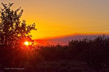 06-18-20-cr_D7K3062-ON1.jpg
