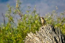 06-19-20-cr_D7K3074-ON1.jpg