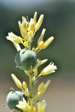_ROY4647_00001.jpg