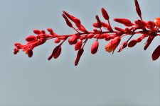 _ROY4650_00001.jpg