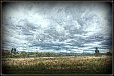 710_8804-Edit.jpg
