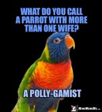 4268073bd247e2ea221c29d7026fcdc1.jpg