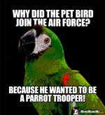 birdTrooper.jpg