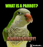 birdWordy.jpg