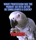 birdPolitics.jpg