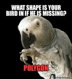 birdPolygon.jpg
