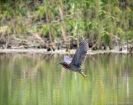 340551d1593004568-hark-2020-a-_nik2628-copy-low-res.jpg