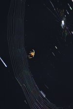 _ROY5482_00001.jpg