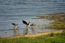 06-24-20-cr_D7K3175-ON1.jpg