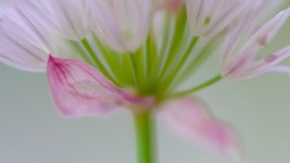 _3XT3347-2.jpg