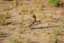 06-26-20-cr_D7K3224-ON1.jpg