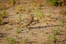 06-26-20-cr_D7K3225-ON1.jpg