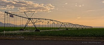 06-28-20-cr_7502573_HDR-ON1-crop.jpg