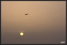 _71D2855_web.jpg
