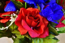 _ROY5802_00001.jpg