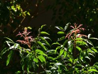 _ROY5822_00001_01.jpg