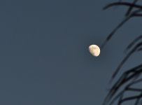 _ROY5840_00001.jpg
