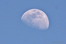 06-29-20-cr_D7K3250-ON1.jpg
