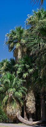 06-30-20-cr_D7K3275 Pano-ON1.jpg