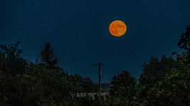 610_1315-Edit.jpg