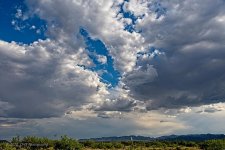 07-04-20-cr_7502616-ON1.jpg