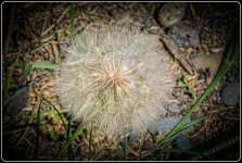 DSC_8509-Edit.jpg
