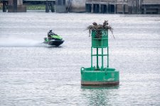 _DSC0040 edit.jpg