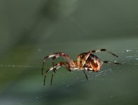 _ROY6852_00001.jpg