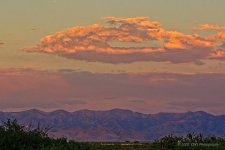 07-06-20-cr_D7K3349-ON1.jpg