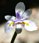 _ROY6936_00001.jpg