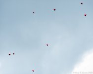 _DSC0109 low res.jpg
