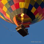 hot air balloon N FR 500_2836.jpg