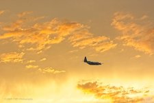 07-09-20-cr_D7K3369-ON1.jpg