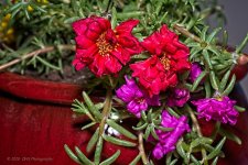 07-10-20-cr_7502636-ON1.jpg